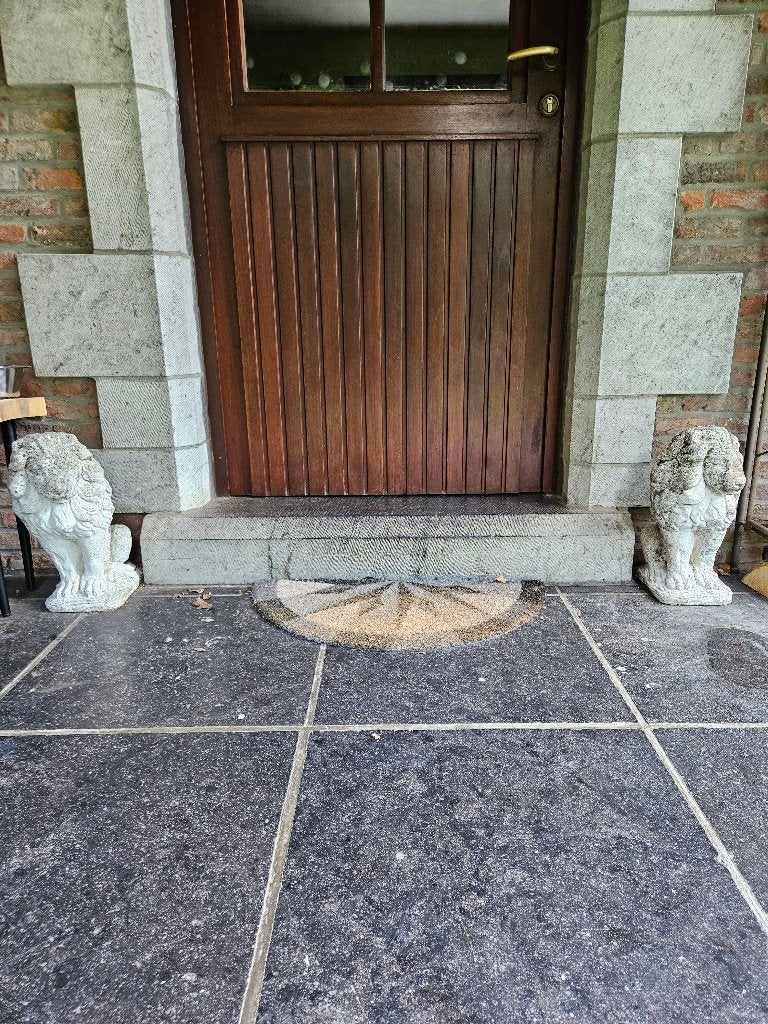 lion en pierre, Enlèvement, Utilisé, Pierre, Animal