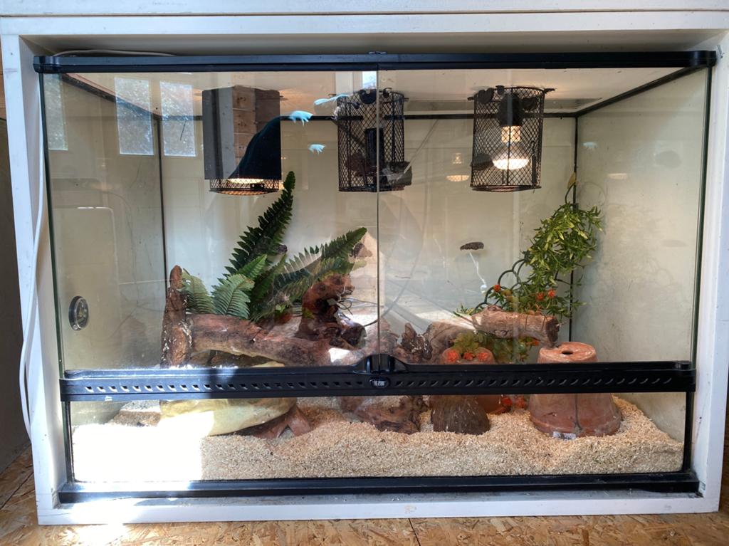 Exo terra met inrichting, Dieren en Toebehoren, Ophalen, Zo goed als nieuw, Terrarium of Paludarium