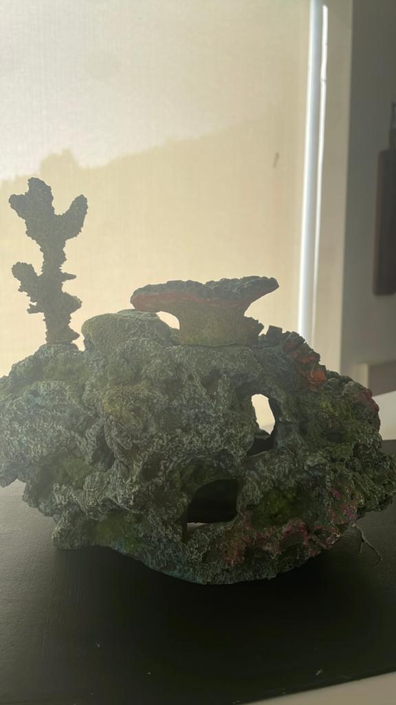 Groot lot aquarium decoratie, Dieren en Toebehoren, Vissen | Aquaria en Toebehoren, Ophalen, Gebruikt, Decoratie, Overige merken