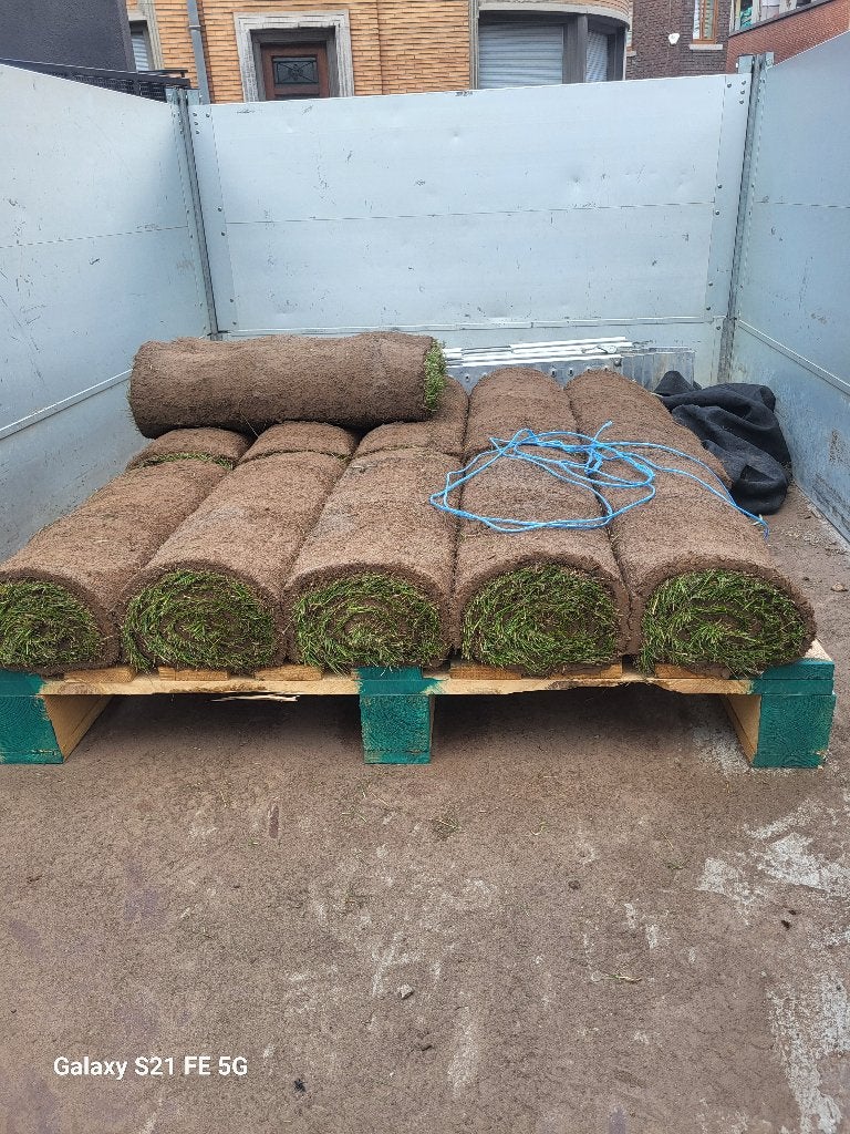 Rouleaux de gazon, Tuin en Terras, Gras en Kunstgras, Ophalen, Nieuw, 10 tot 20 m², Gras