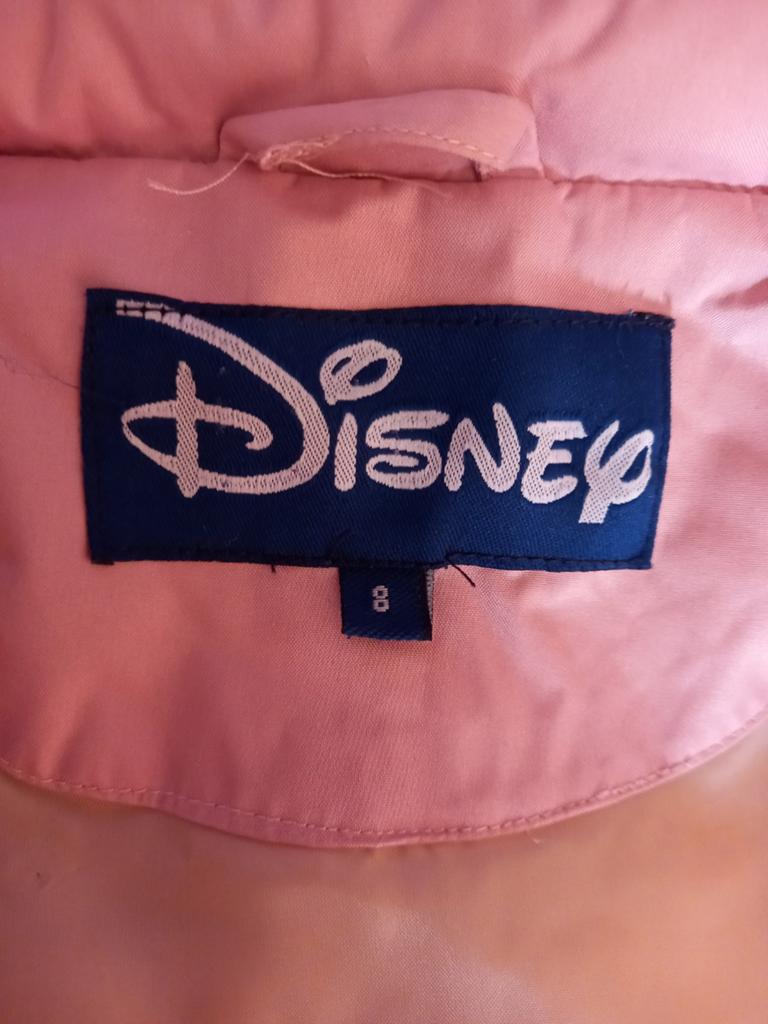 Blouson hivers enfant fille disney, Kinderen en Baby's, Kinderkleding | Maat 140, Gebruikt, Meisje, Jas, Ophalen