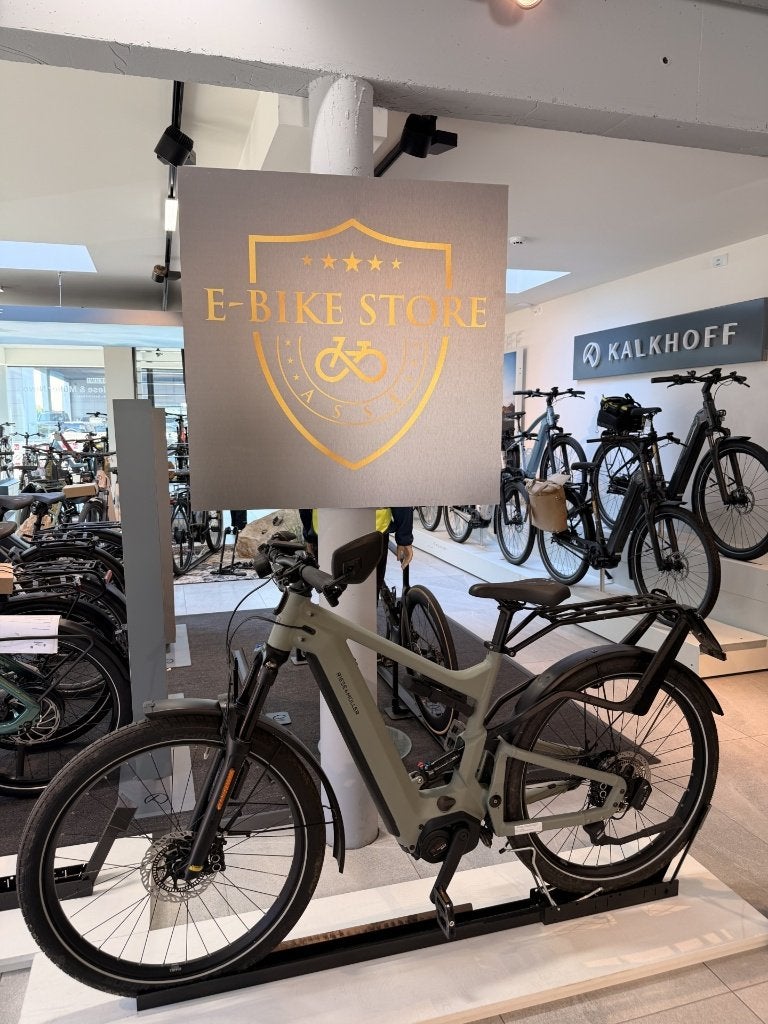 Riese & Müller Delite4 GT Rohloff HS Speed Pedelec