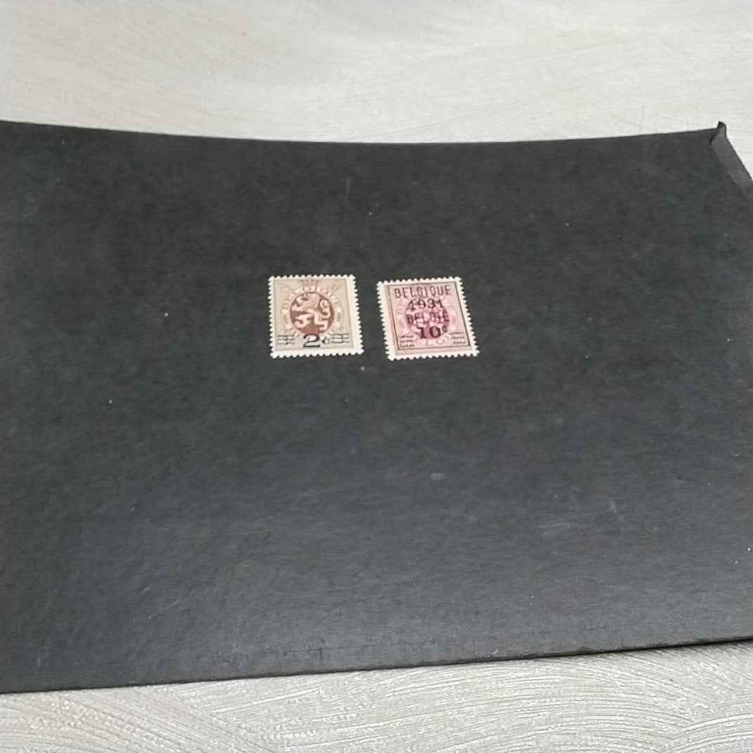 BELGIQUE 315/316 en parfait état avec cote 2,50€., Timbres & Monnaies, Timbres | Europe | Belgique, Enlèvement ou Envoi, Neuf