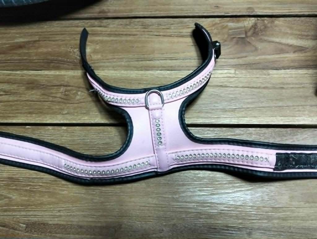 hondetuigje/ harnas voor puppy, Dieren en Toebehoren, Honden-accessoires, Gebruikt, Ophalen of Verzenden