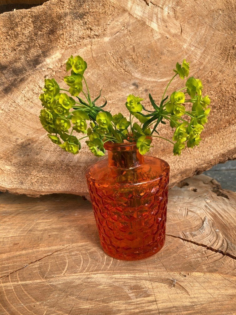 FLESJE VAASJES ORANJE HOOG 10 CM NIEUW, Maison & Meubles, Accessoires pour la Maison | Vases, Neuf, Enlèvement ou Envoi, 10 cm