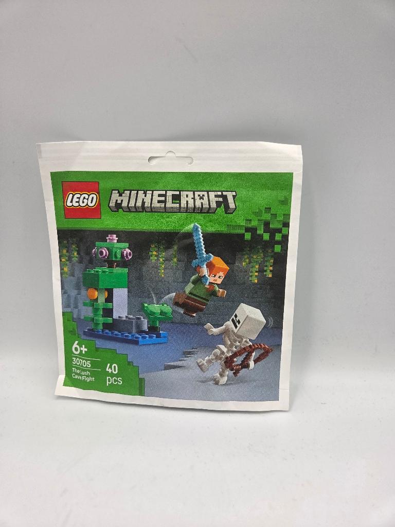 Sac en papier/polybag Lego Mincraft 30705 The Lush Cave Figh, Enfants & Bébés, Jouets | Duplo & Lego, Neuf, Lego, Ensemble complet