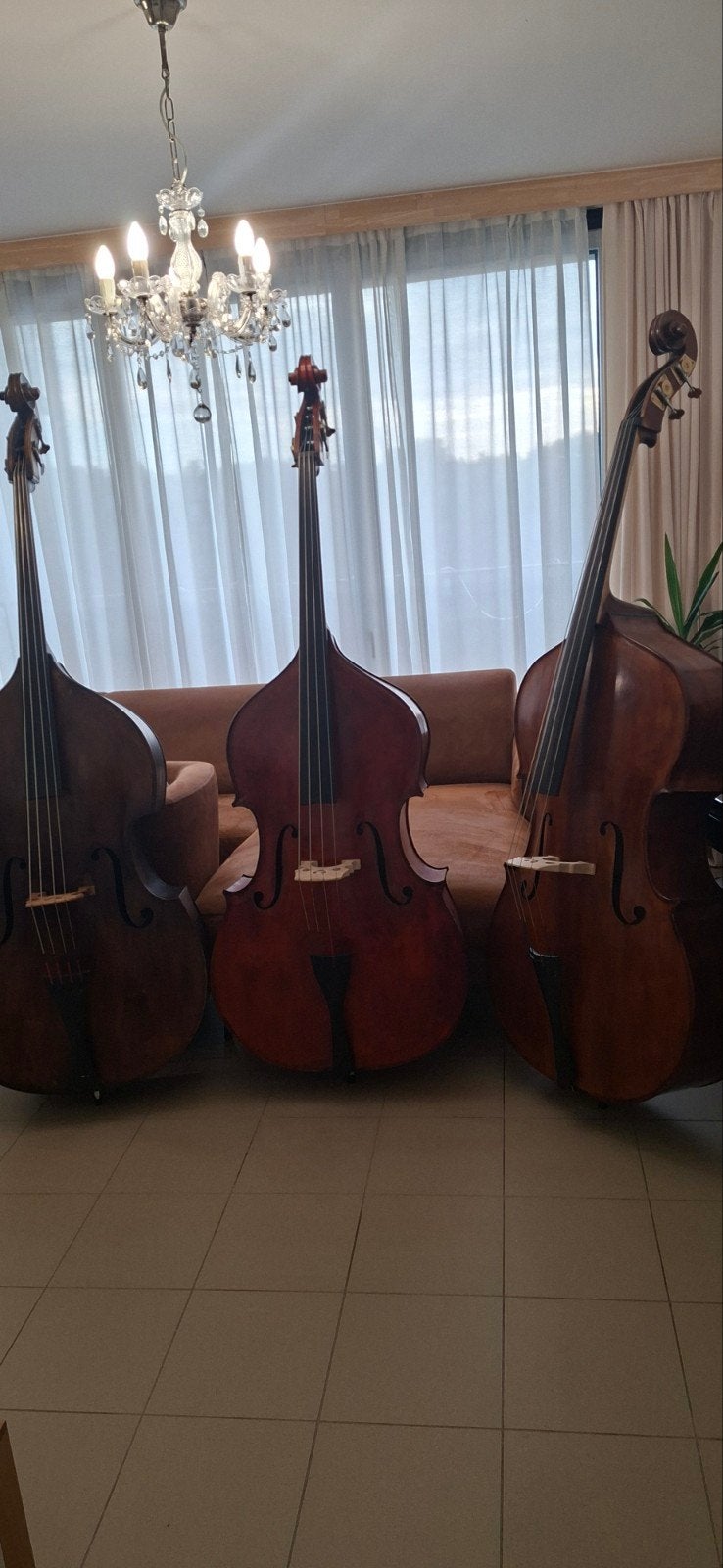 Contrabassen, Musique & Instruments, Instruments à cordes frottées | Contrebasses, Enlèvement