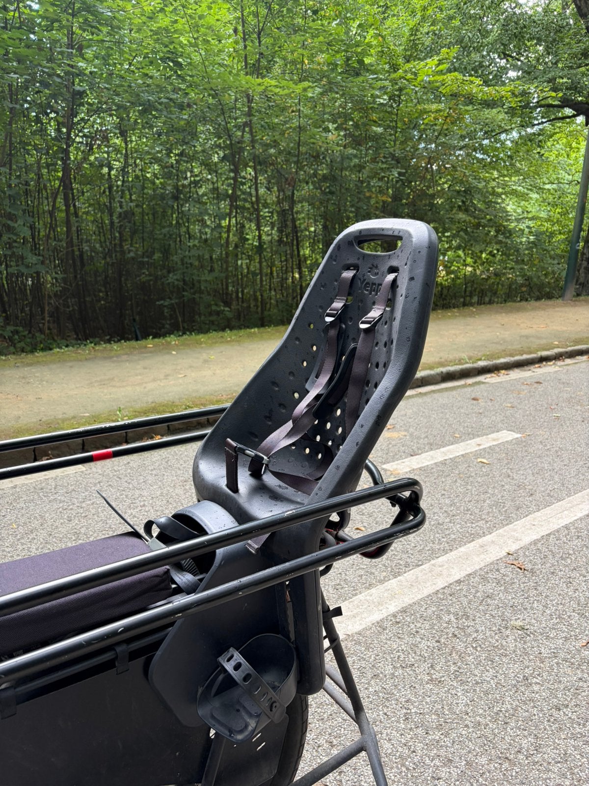 Thule yepp maxi - siege enfant velo, Vélos & Vélomoteurs, Repose-pieds, 15 à 25 kg, Enlèvement, Utilisé