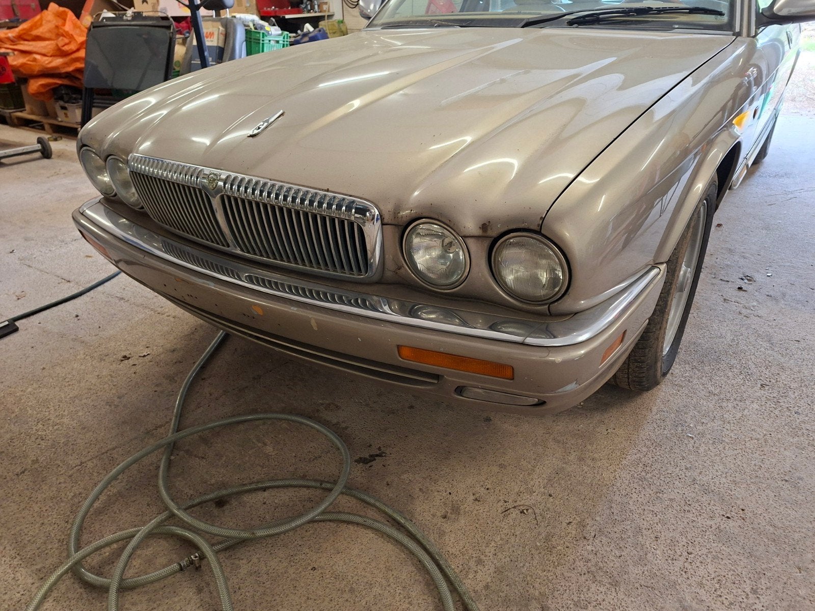 jaguar Daimler (Van den Plas) x300, Cuir, Achat, Autres couleurs, XJ