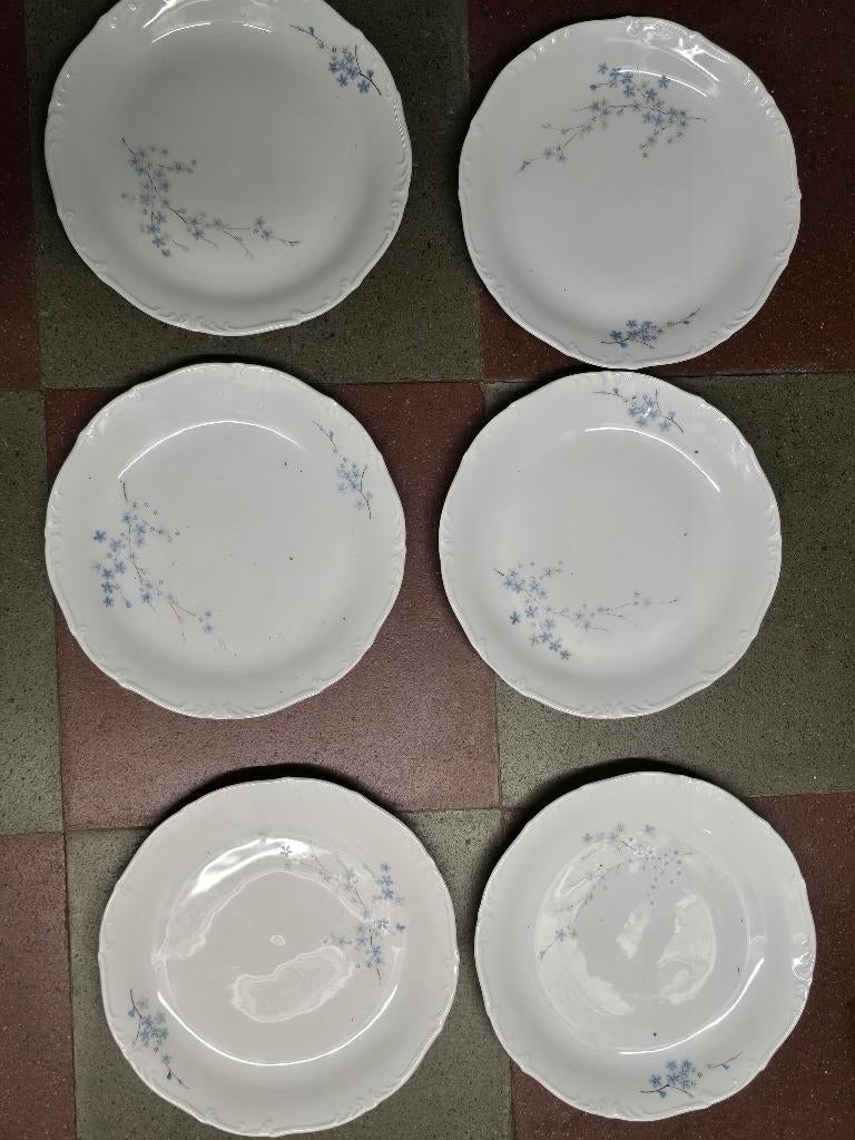 6 eetborden met bloemmotief, Ophalen
