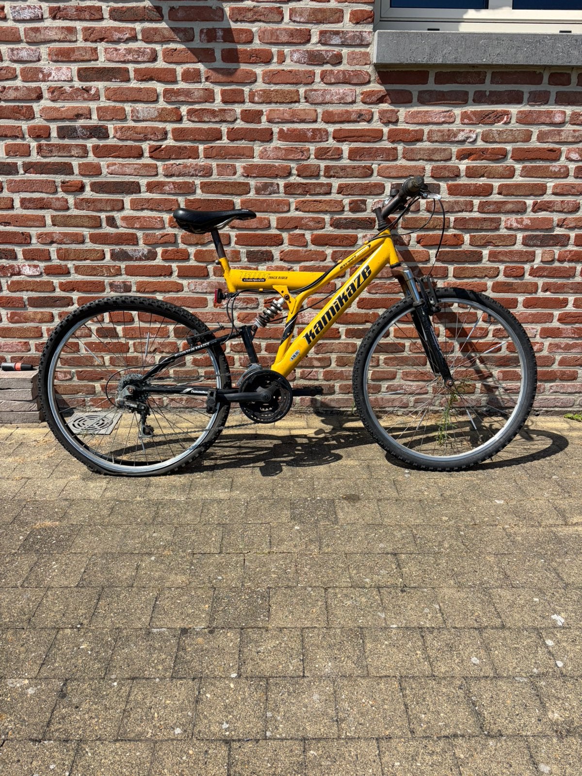Gratis! Kapotte mountainbike, Enlèvement, Utilisé