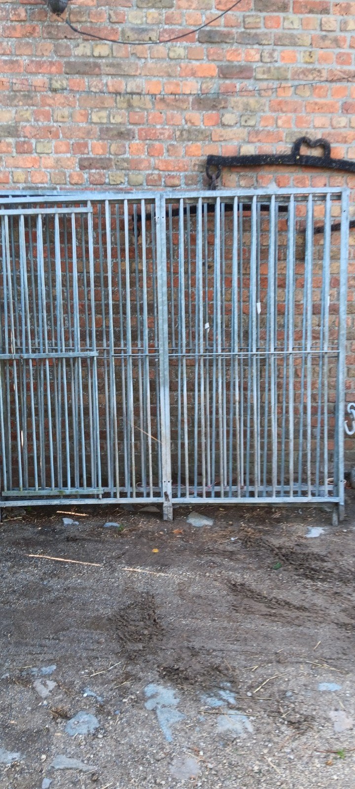 hondenren, Dieren en Toebehoren, Ophalen of Verzenden, Hondenren