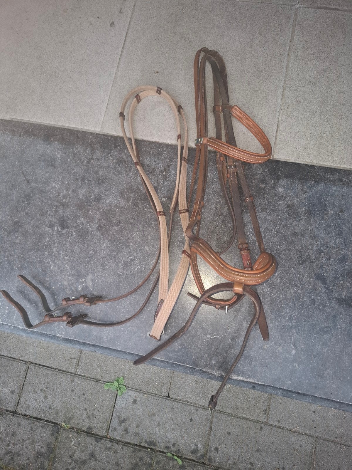 Hoofdstel paard, Ophalen, Bruin, Inclusief teugels, Full