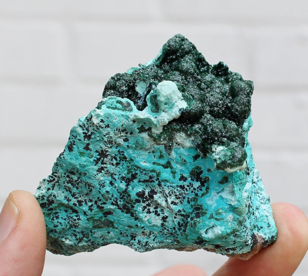 MALACHIET met CHRYSOCOLLA uit Congo, Ophalen of Verzenden, Mineraal