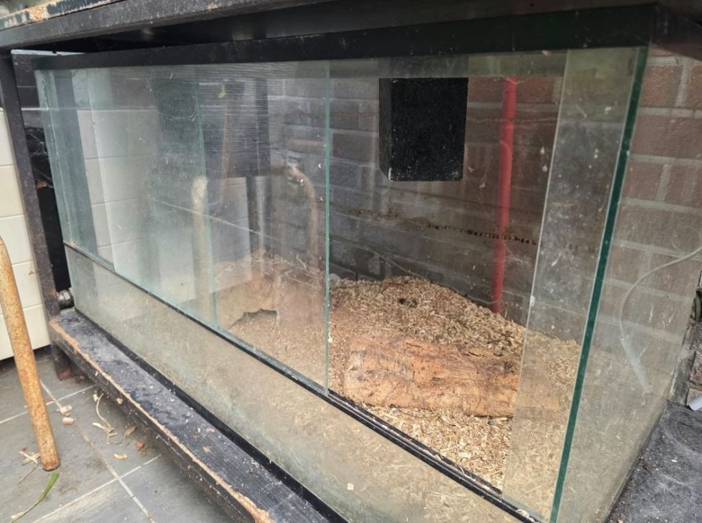 Groot terrarium + 3 vogelspinterraria met toebehoren, Dieren en Toebehoren, Ophalen, Gebruikt, Terrarium of Paludarium