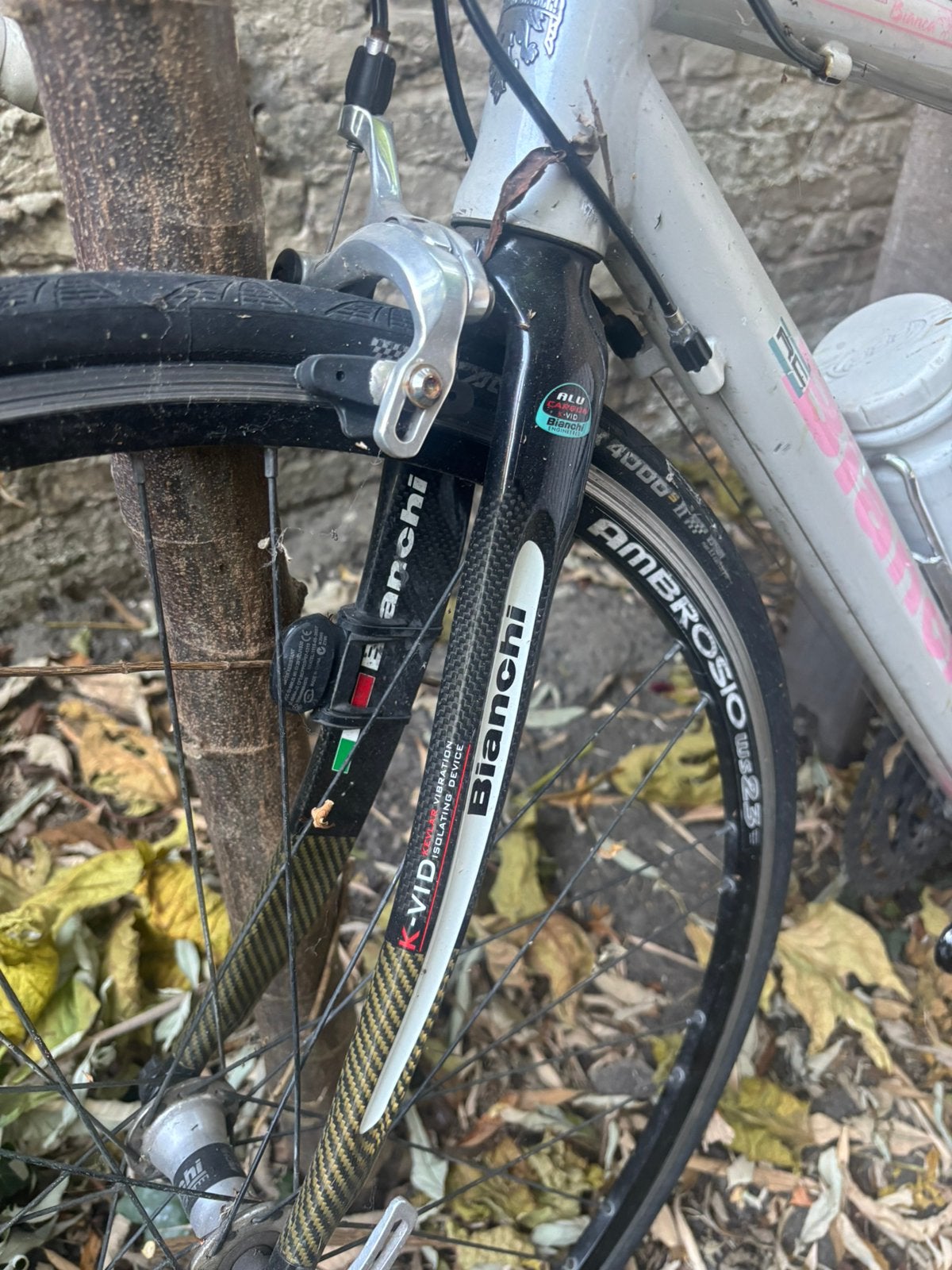 Parelmoer wit met roze Bianchi Elena dames koersfiets, Ophalen, Gebruikt, Overige merken