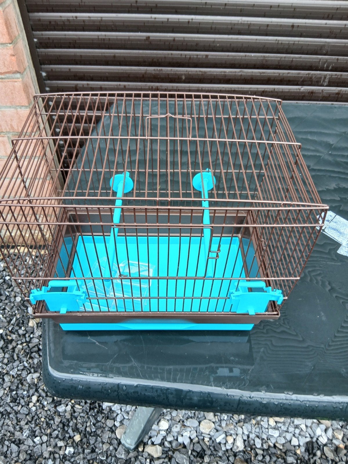 Cage oiseau, Enlèvement