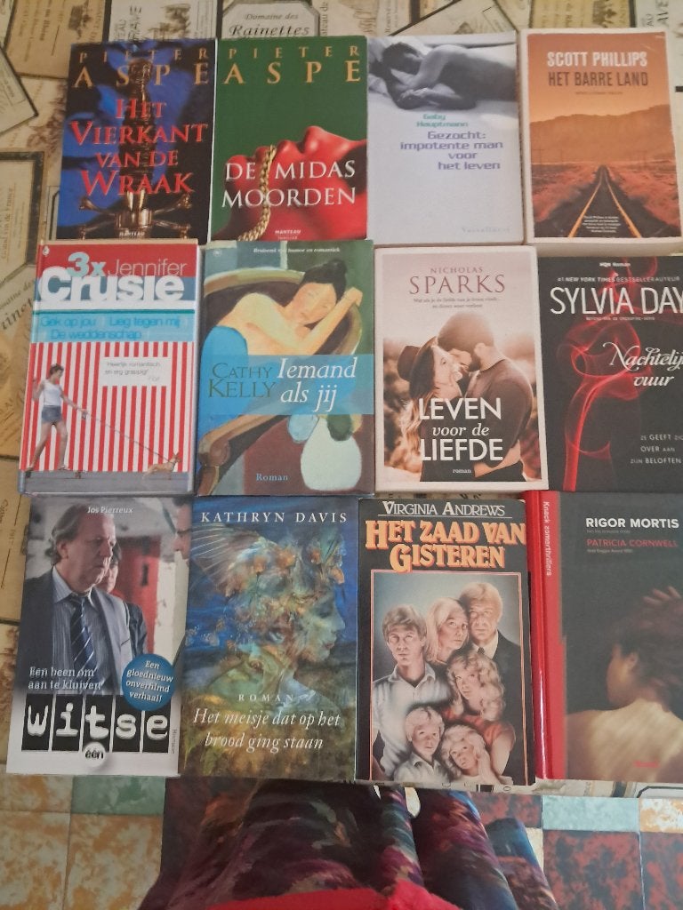 20 boeken - allerlei romans deel 1, Boeken, Ophalen, Gelezen