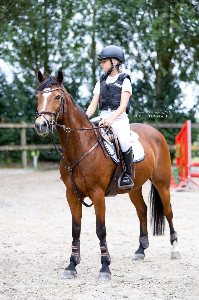 Betrouwbare leermeerster te koop, Dieren en Toebehoren, Pony's, Merrie, Met stamboom, Dressuurpony, 11 jaar of ouder