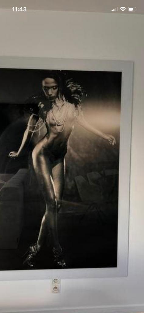 Groot gelimiteerd schilderij op plexiglas, Antiek en Kunst, Ophalen