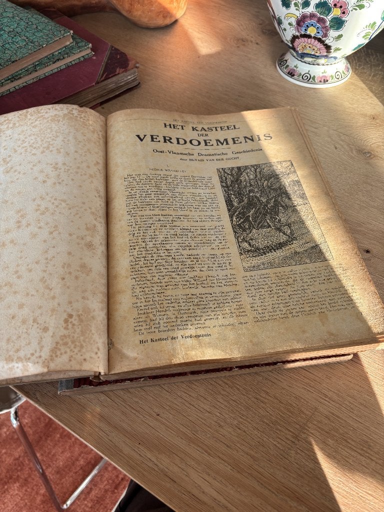 2 oude Vlaamse volksromans –Van der Gucht – Clercker, Boeken, Ophalen of Verzenden, 20e eeuw of later, Gelezen, Diverse auteurs