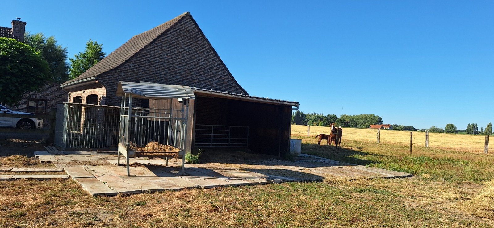 pensionplaatsen voor 4 paarden 24/24 paddock met schuilstal.