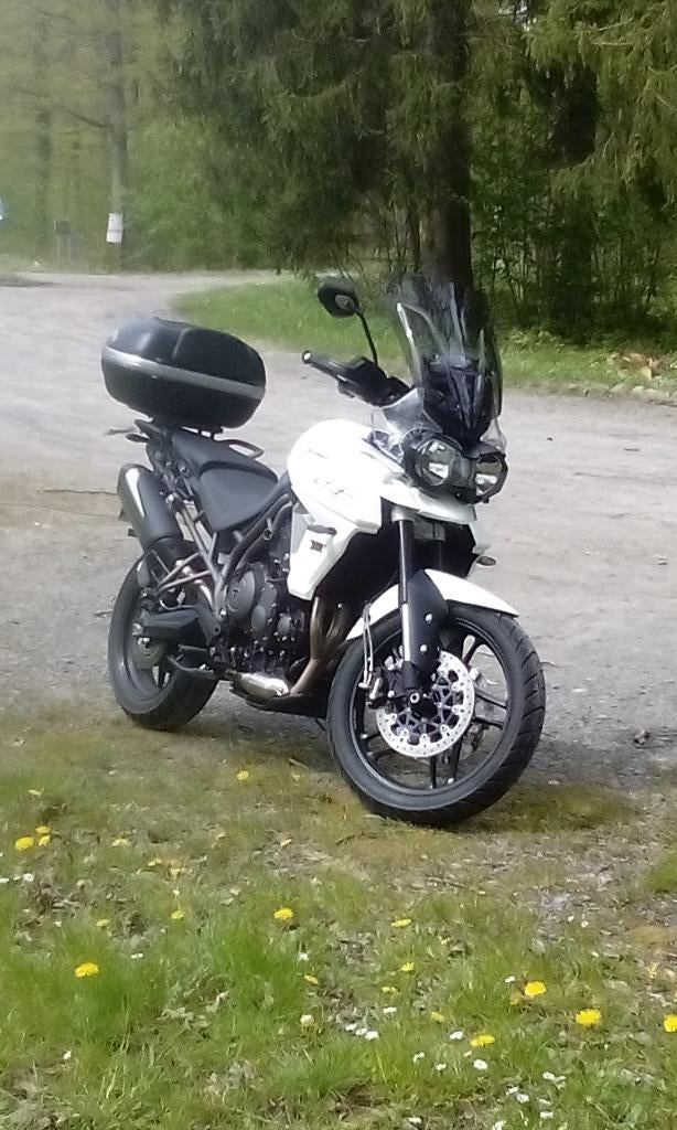tiger 800 full option (of ruil mogelijk), Motoren, 3 cilinders, Particulier, Meer dan 35 kW, Handgeschakeld