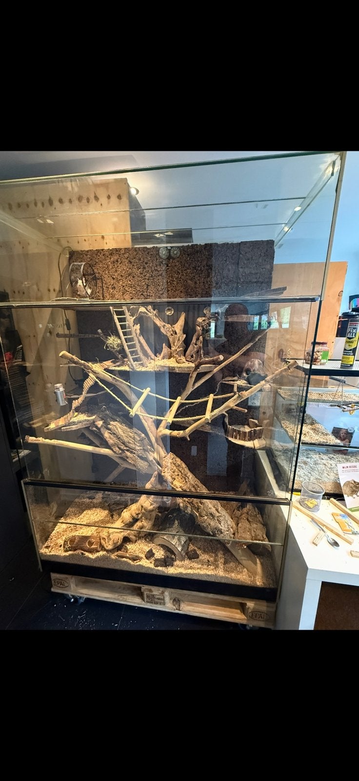 Degoes hok te koop, Animaux & Accessoires, Reptiles & Amphibiens | Accessoires, Enlèvement, Comme neuf