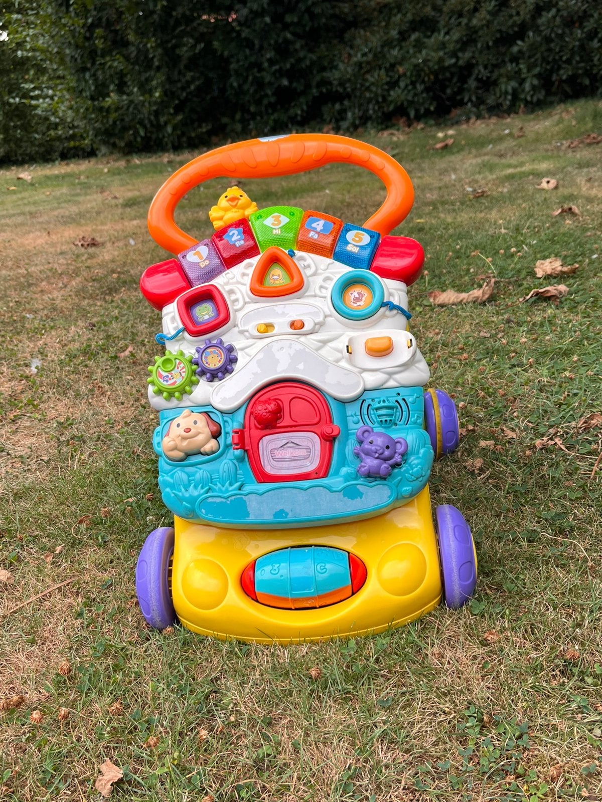 Loopwagentje, Ophalen, Gebruikt, 6 maanden tot 2 jaar