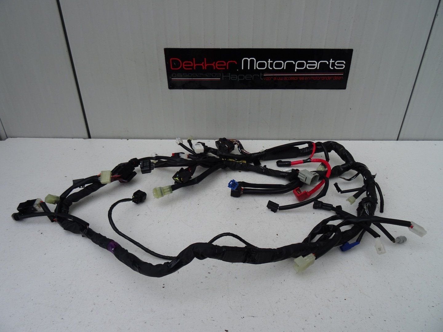Hoofd Kabelboom / Wire Harness Yamaha YZF R1 2007-2008 RN19, Enlèvement ou Envoi, -, -, -