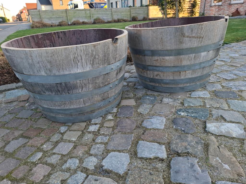 Plus grandes jardinières en chêne de 50 cm x 77 cm ! Excelle, Enlèvement