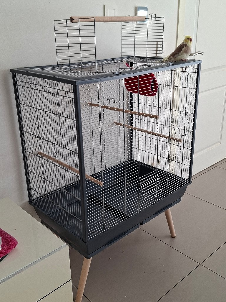 Grote vogelkooi, Dieren en Toebehoren