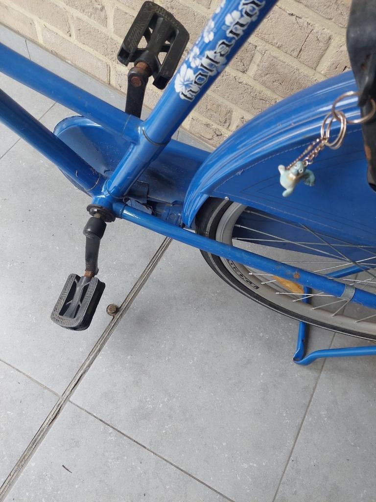 Fiets 26 inch ?, Ophalen