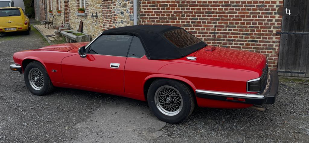 Jaguar, Enlèvement