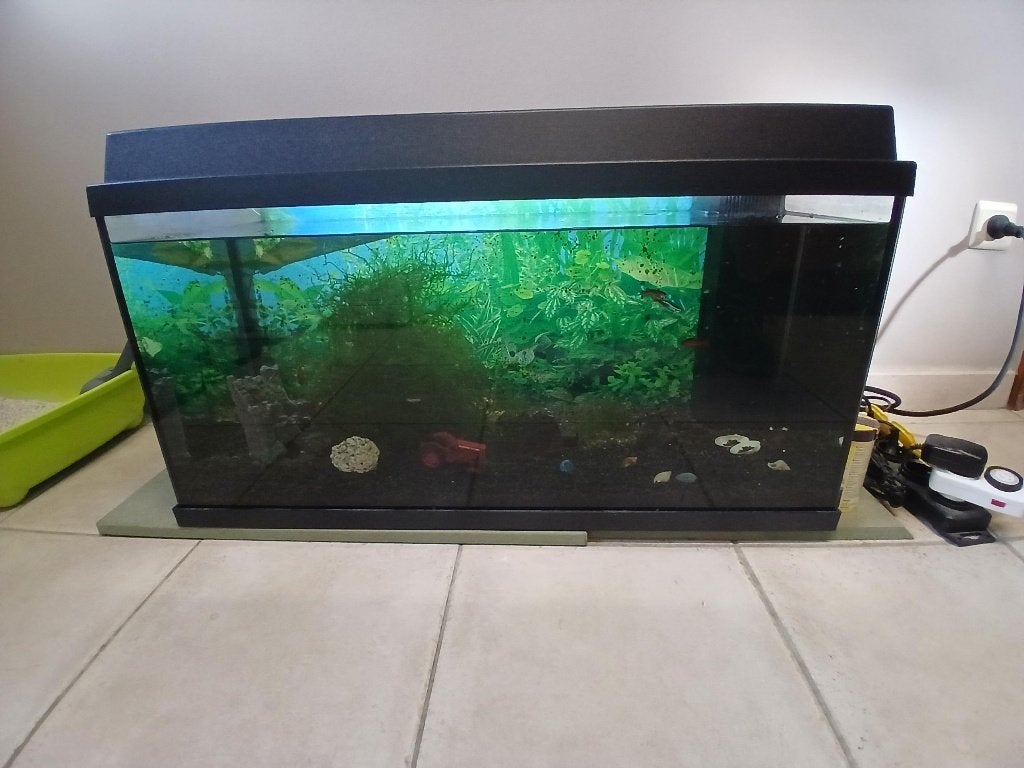 jewel aquarium met pomp,filter,verlichting,verwarming, Dieren en Toebehoren, Ophalen, Verwarming, Zo goed als nieuw, Leeg aquarium