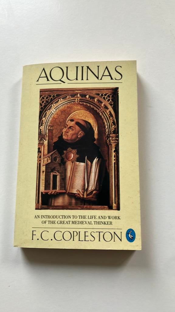 Aquinas - An intro to the life of the medieval thinker, Boeken, Filosofie, Ophalen of Verzenden, Gelezen, Wijsbegeerte of Ethiek