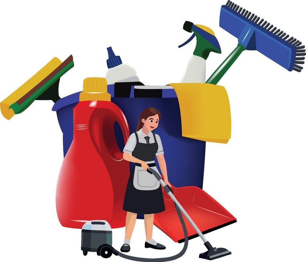 Professioneele poetshulp, regio Antwerpen