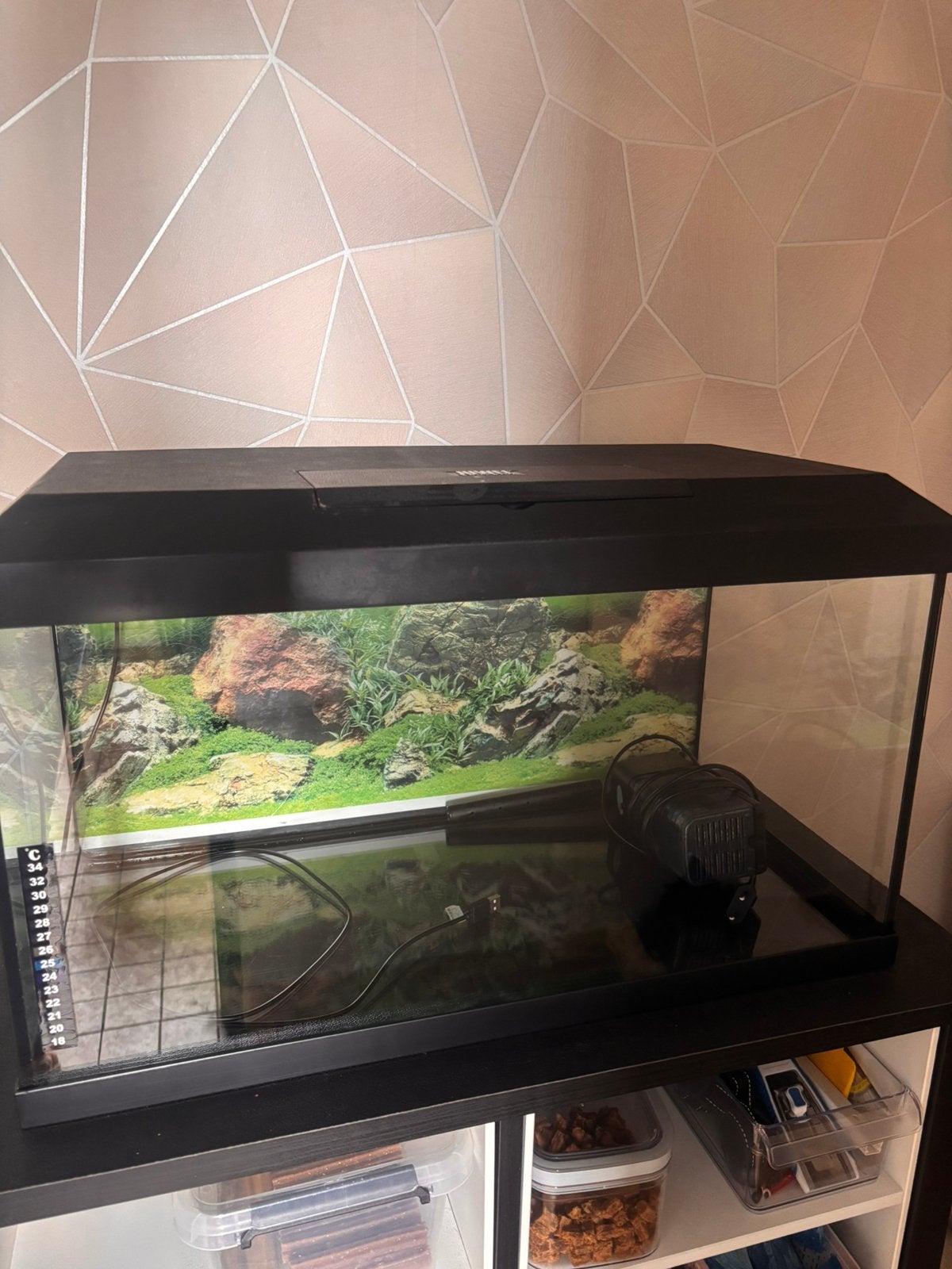 Aquarium juwel 60, Enlèvement, Comme neuf, Juwel