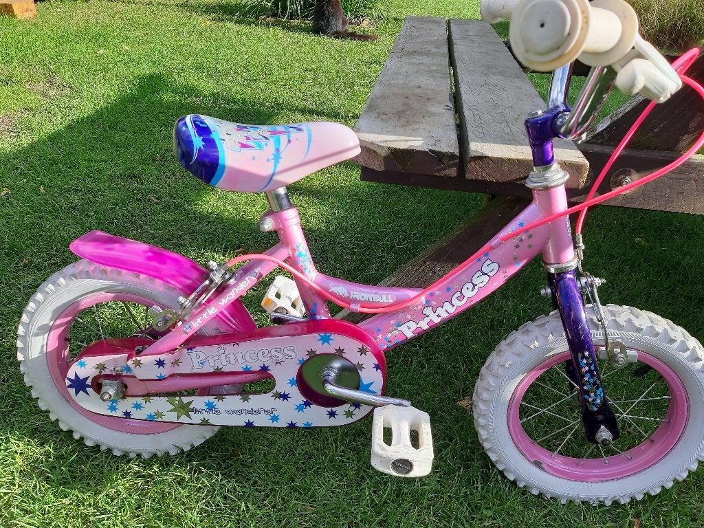 Kinderfietsje Princess met vrijloop - 12 inch, Ophalen, Zo goed als nieuw, Minder dan 16 inch