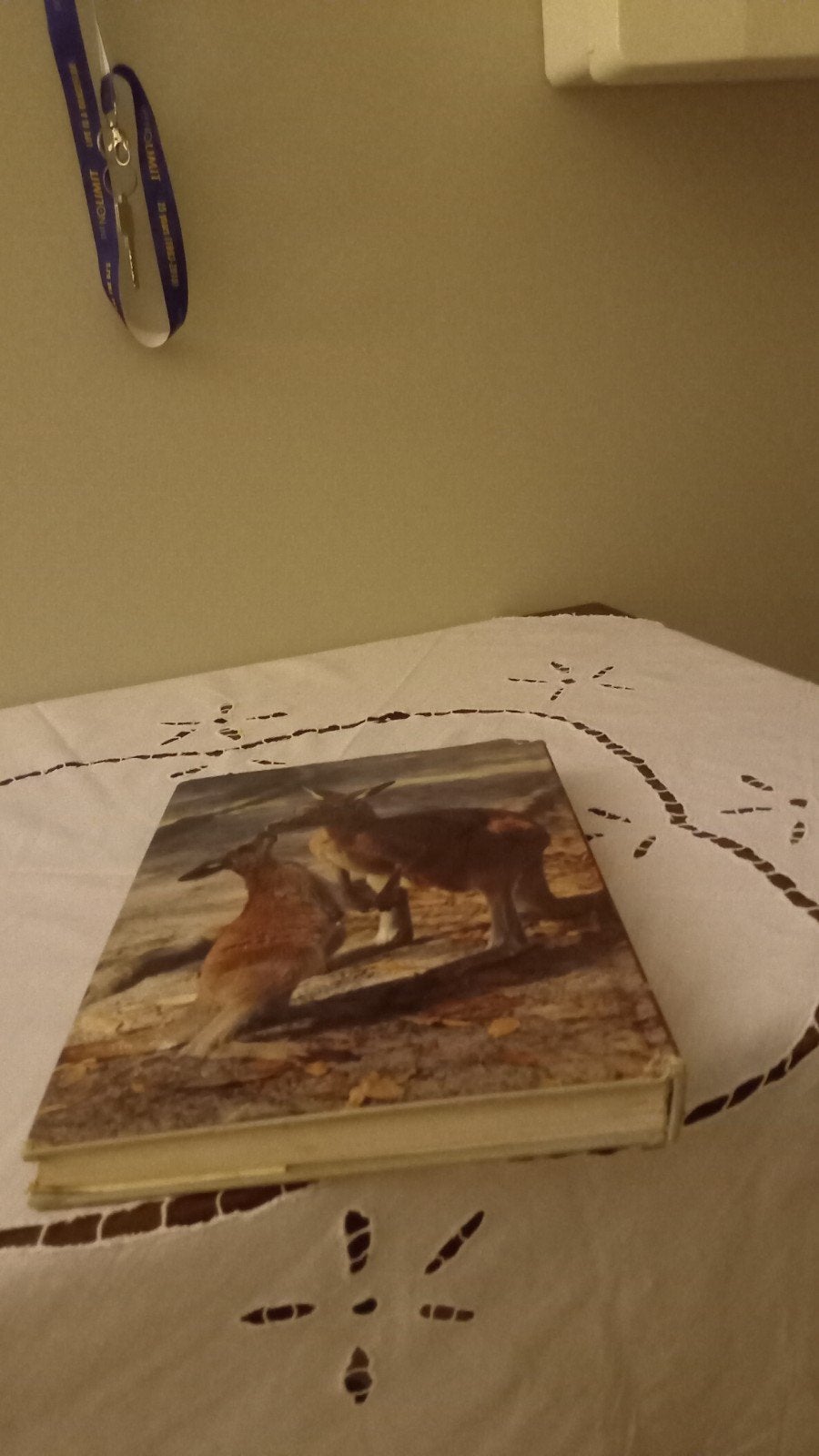 A v livre Artis Historia thème Australie 4 euros 4, Boeken, Ophalen of Verzenden, Zo goed als nieuw, Prentenboek