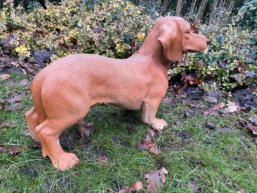 Beeld grote teckel, tekkel, hond, tuin, gazon 50 cm, Ophalen, Nieuw, Kunststof, Dierenbeeld