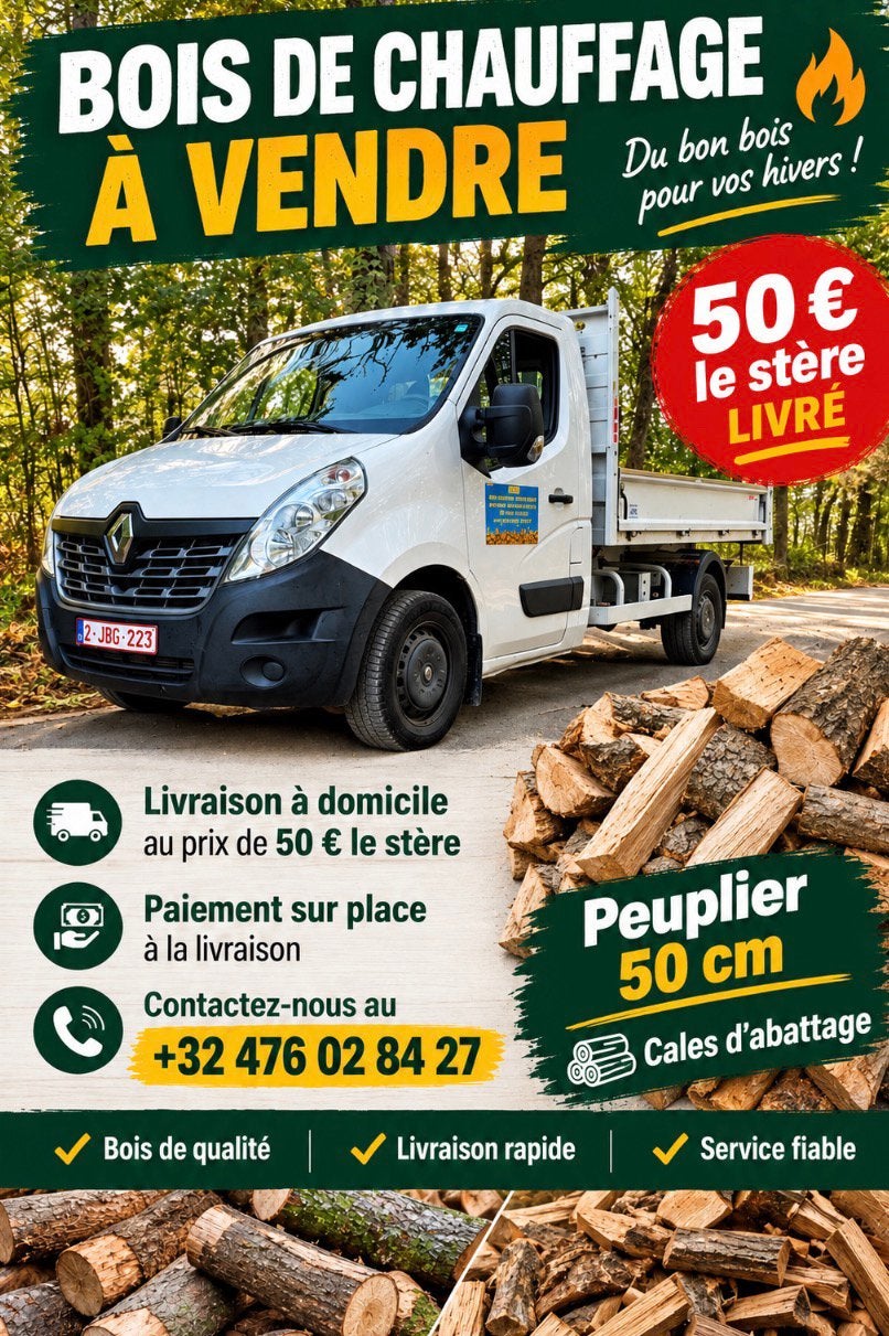 Bois de chauffage, Jardin & Terrasse, 6 m³ ou plus, Enlèvement, Autres essences de bois, Bûches