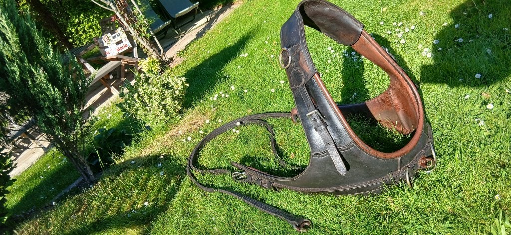 Harnais d’attelage, collier bricole, guides et bride en cuir, Animaux & Accessoires, Chevaux & Poneys | Brides & Harnachement