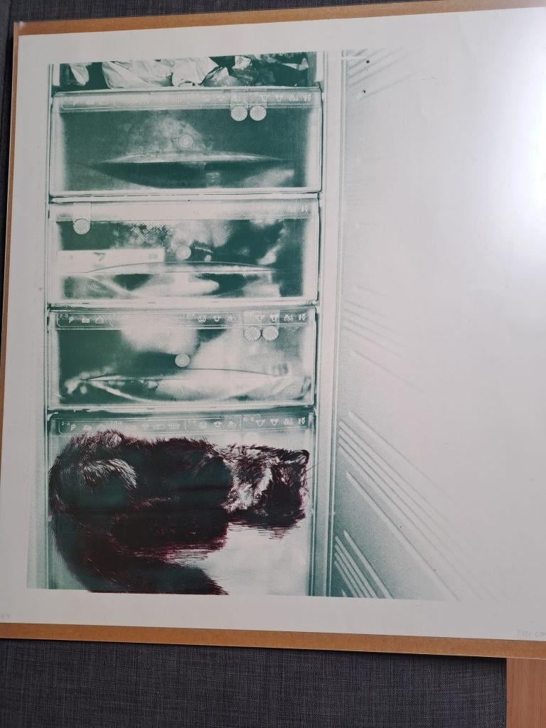 ets Fien Cox, vos in diepvries, Antiek en Kunst, Ets, Gesigneerd, Flora en Fauna, 2000 tot heden