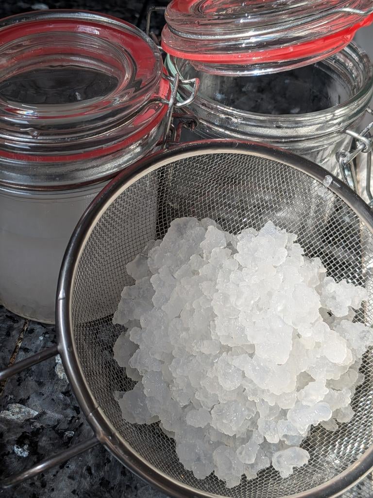 100g waterkefirkorrel in potje. Goed voor 1 liter., Diversen, Ophalen