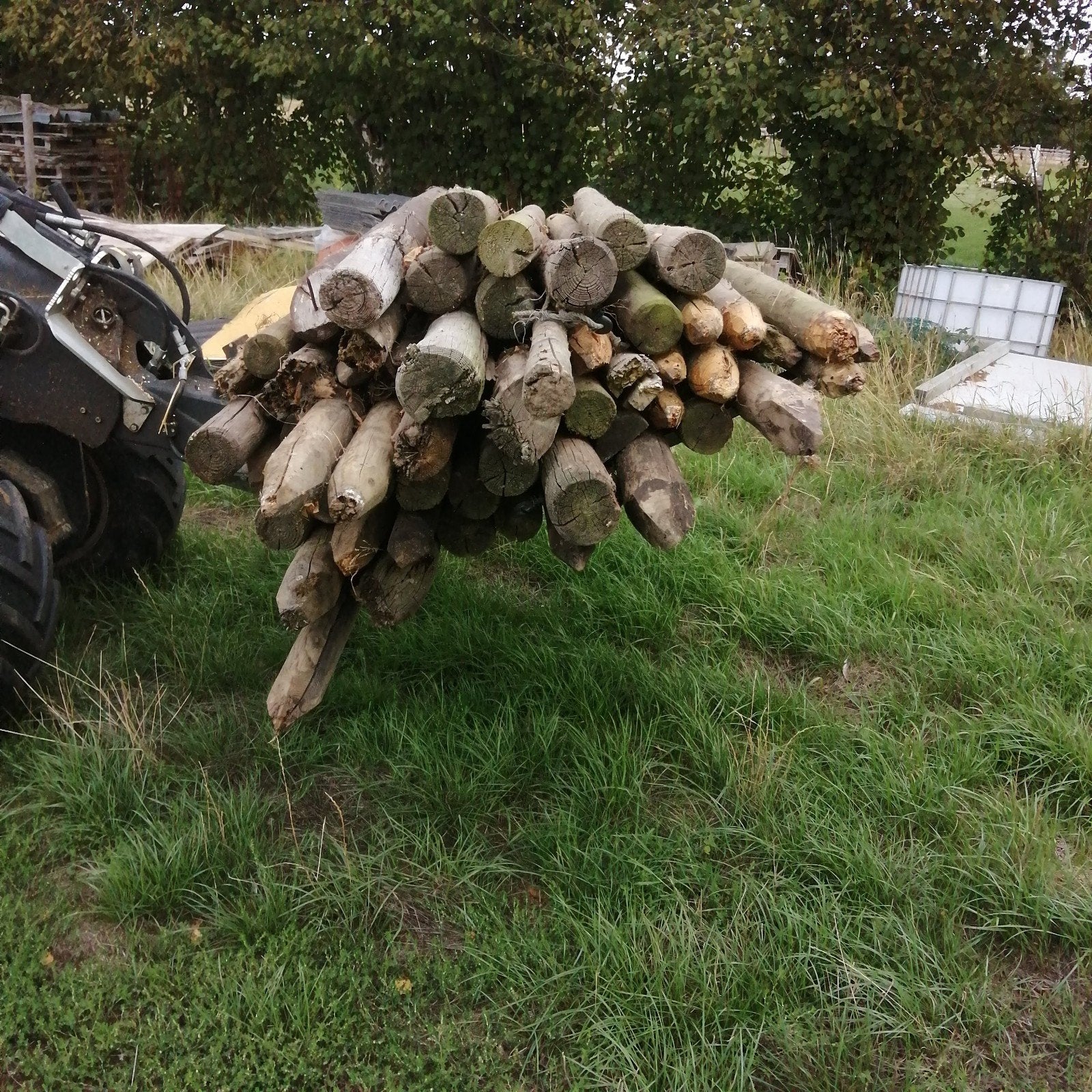 weipalen mix verschillende maten en 60 tal
