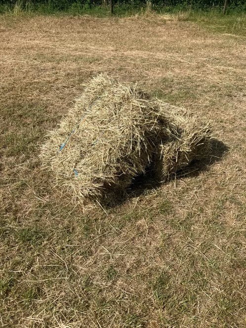 Kleine balen hooi, Dieren en Toebehoren, Paarden