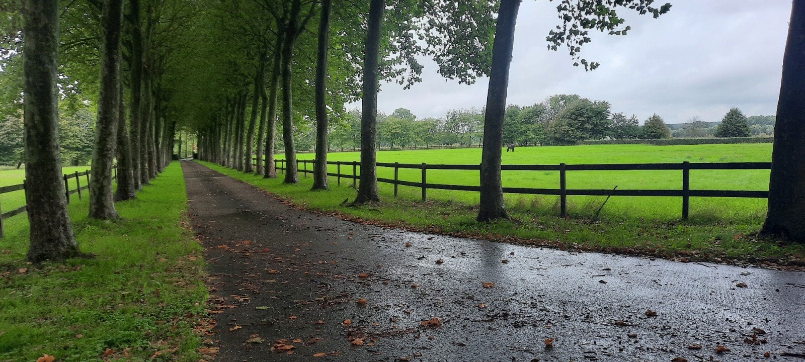 weide en stal te huur