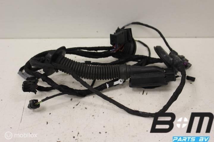 Deurkabelboom RA Audi RS4 8K 8K0971688AJ, Utilisé