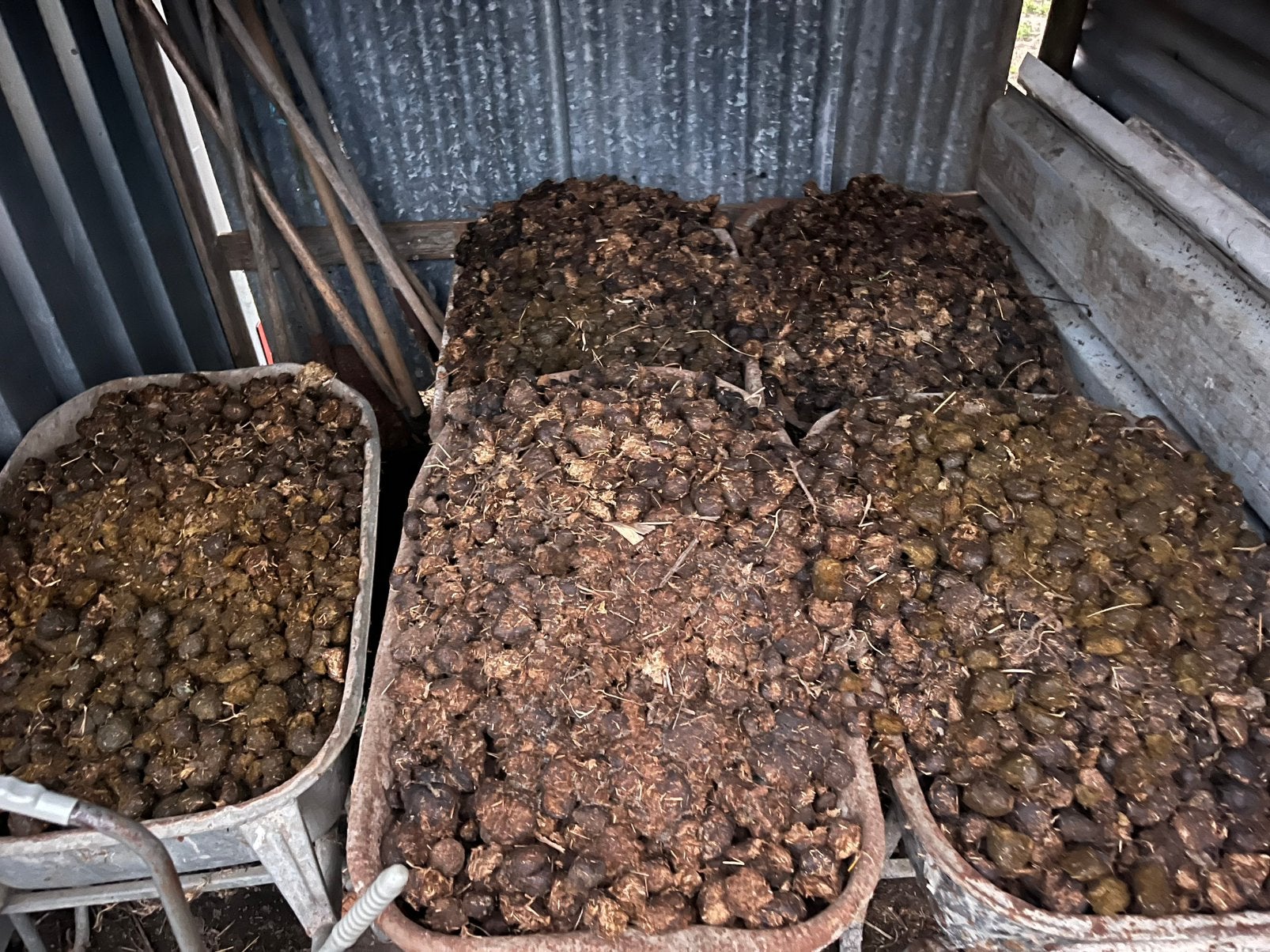 Pure paardenmest GRATIS OP TE HALEN, Tuin en Terras, Ophalen of Verzenden